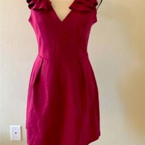 Express Fuchsia Ruffle Sleeve Mini Dress